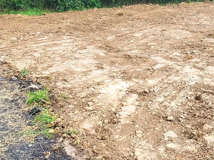 Úprava pozemku po zemních pracích